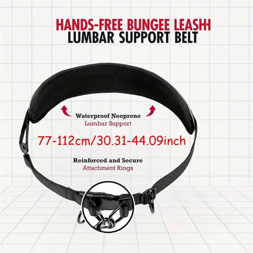 Pet Running Waist Bag Leash Se - đánh giá và giá Hands Free Dog Running Leash Waist Belt