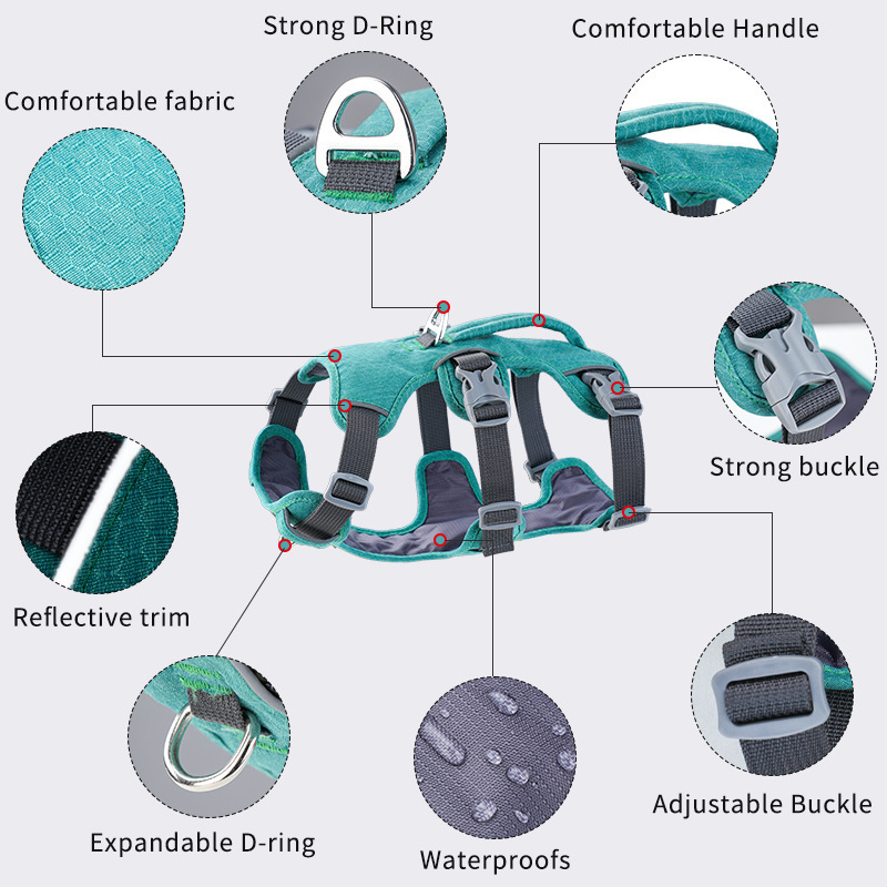 Reflective Vest-Style Shock-Ab - đánh giá và giá Bungee Dog Leash Shock Absorbing
