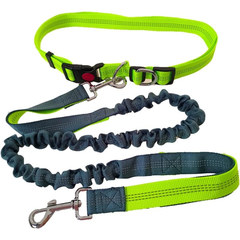 Hand Free Dog Leash for Adjust - đánh giá và giá Hands Free Dog Running Leash Waist Belt