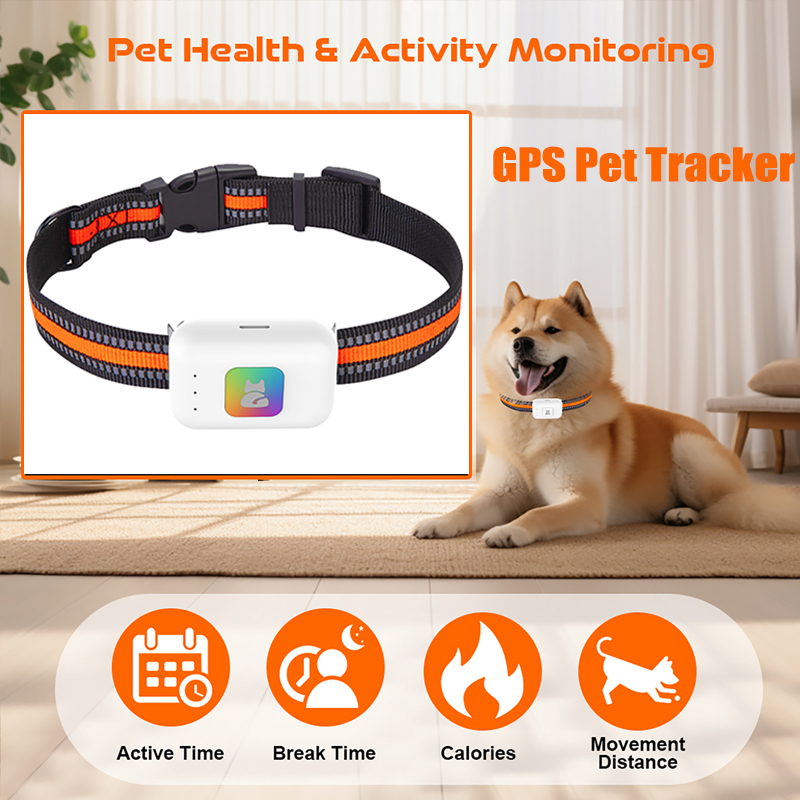 Portable GPS Tracker with Colo - đánh giá và giá Dog Gps Tracker Collar 4G Waterproof