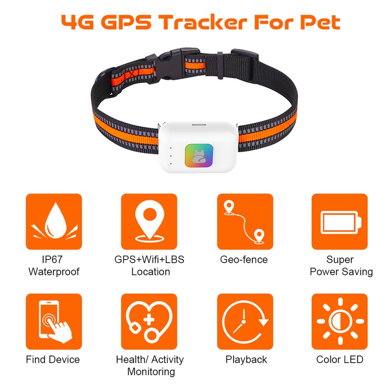 Portable GPS Tracker with Colo - đánh giá và giá Dog Gps Tracker Collar 4G Waterproof
