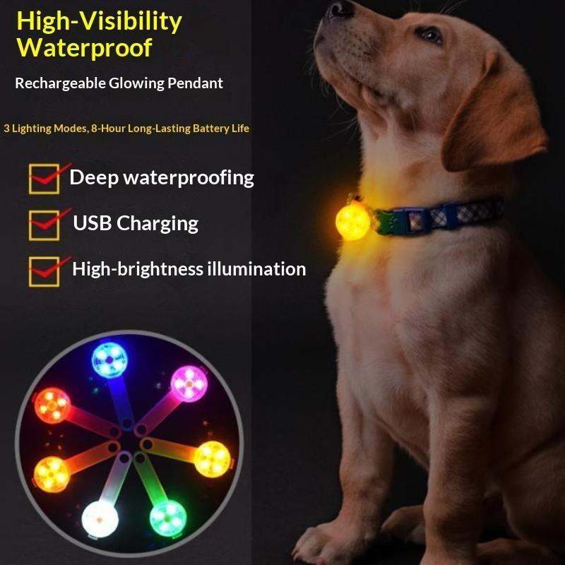 LED Pet Collar Pendant Light U - đánh giá và giá Led Dog Collar Glowing Rechargeable Usb