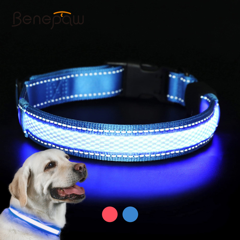 Benepaw LED Cổ Chó USB Sạc Tho - đánh giá và giá Led Dog Collar Glowing Rechargeable Usb