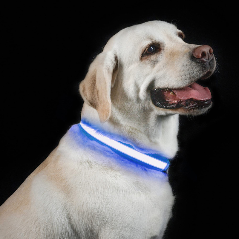 Benepaw LED Cổ Chó USB Sạc Tho - đánh giá và giá Led Dog Collar Glowing Rechargeable Usb