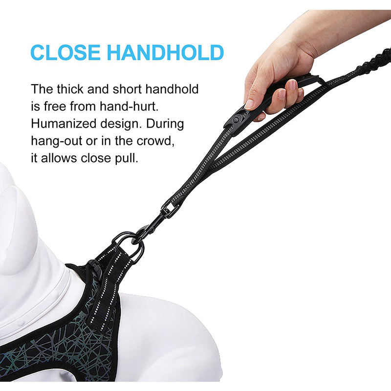 Highly Reflective Heavy Duty E - đánh giá và giá Bungee Dog Leash Shock Absorbing