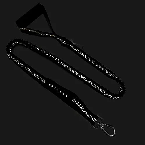 Highly Reflective Heavy Duty E - đánh giá và giá Bungee Dog Leash Shock Absorbing