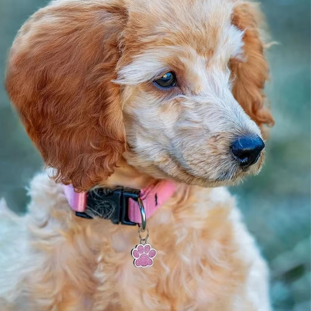 Personalized Pet ID Tag, Free  - đánh giá và giá Reflective Dog Collar Personalized Engraved