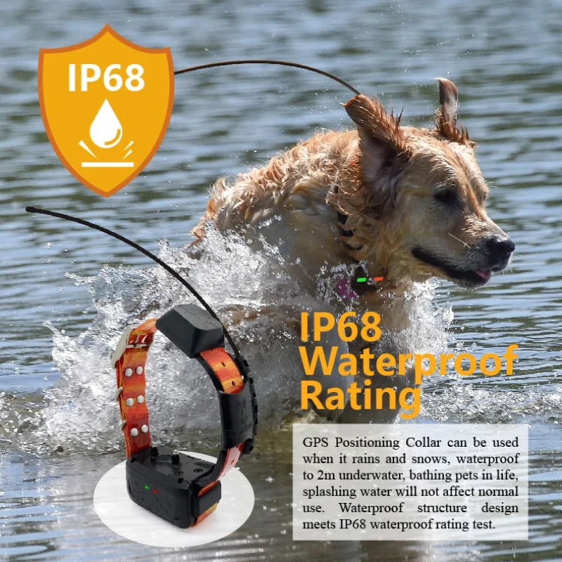 GPS Dog Collar with Radio Trac - đánh giá và giá Hunting Dog Tracking Collar Gps Radio