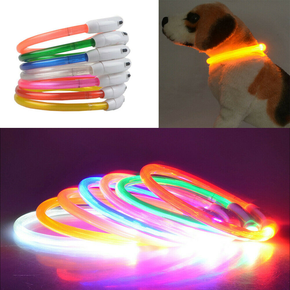 Đèn LED Nhiều Màu Thú Cưng Cổ  - đánh giá và giá Led Dog Collar Glowing Rechargeable Usb