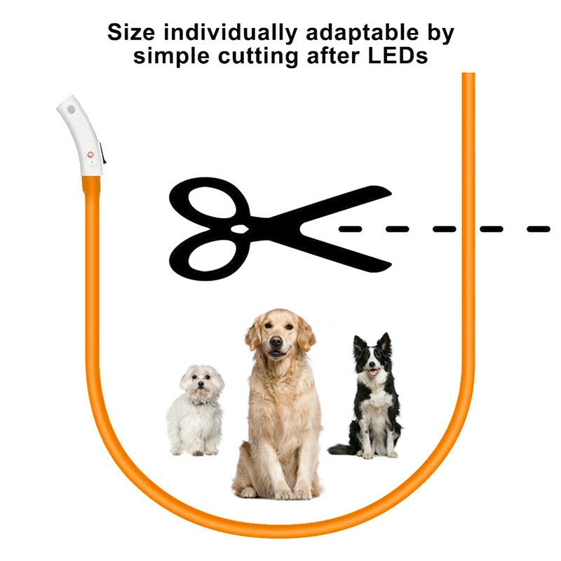 Đèn LED Nhiều Màu Thú Cưng Cổ  - đánh giá và giá Led Dog Collar Glowing Rechargeable Usb