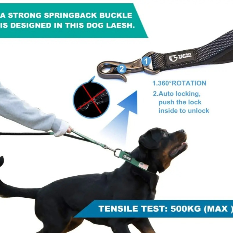 Shock‑Absorbing Bungee Hands‑F - đánh giá và giá Hands Free Dog Running Leash Waist Belt