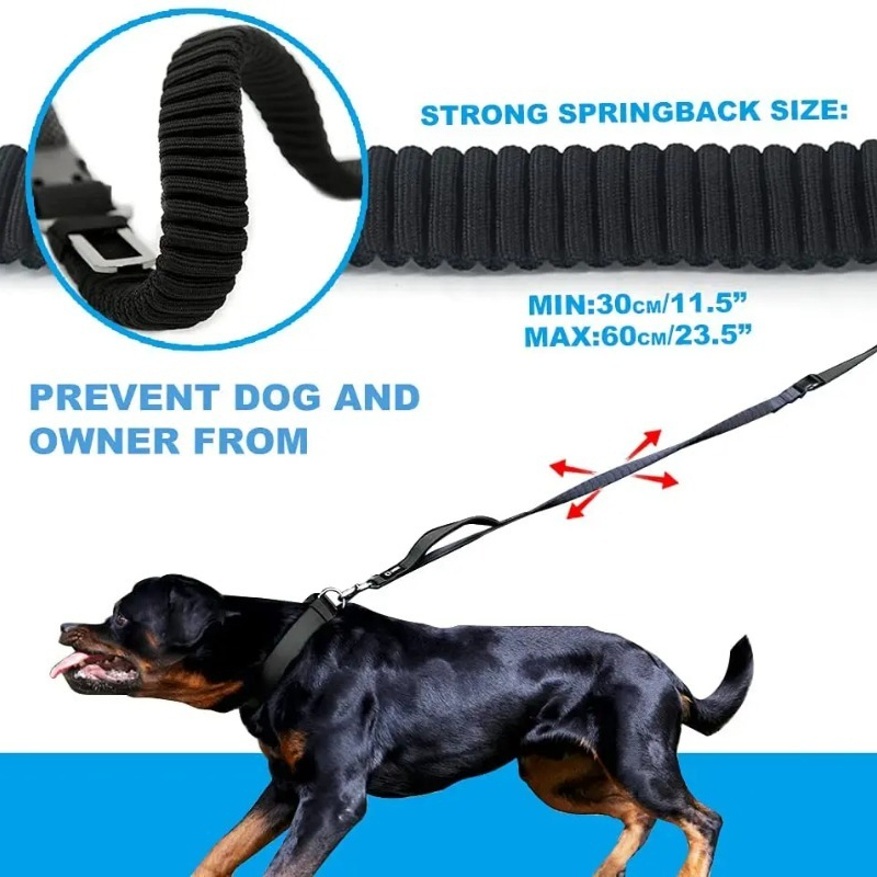 Shock‑Absorbing Bungee Hands‑F - đánh giá và giá Hands Free Dog Running Leash Waist Belt