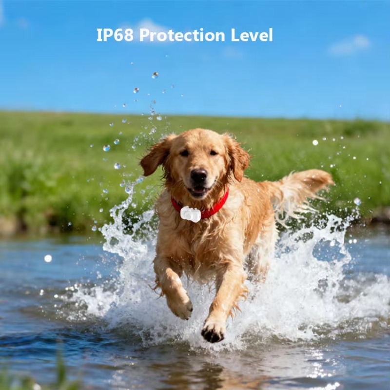 New Waterproof Smart GPS 4G LB - đánh giá và giá Dog Gps Tracker Collar 4G Waterproof