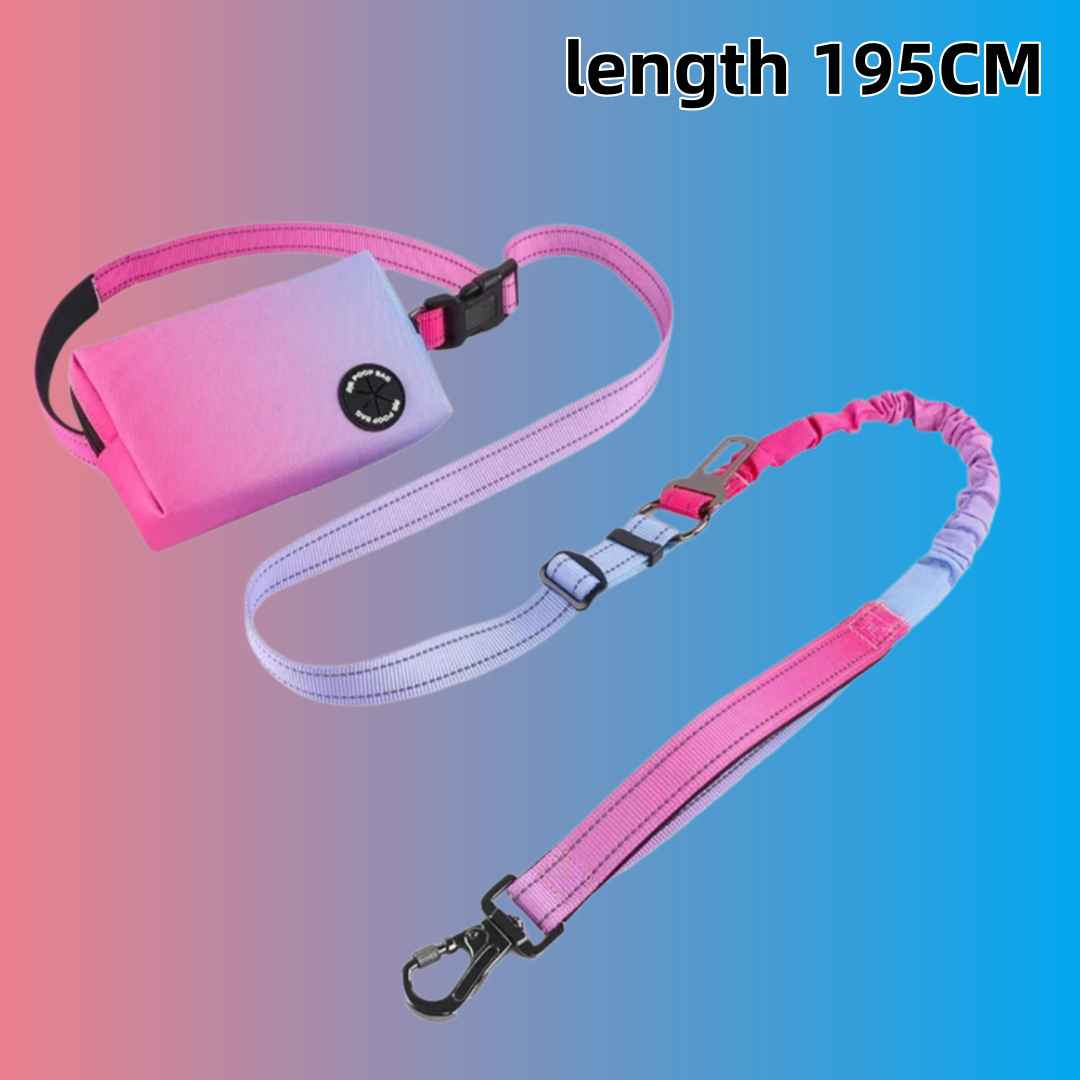 Gradient Color Hands-Free Dog  - đánh giá và giá Bungee Dog Leash Shock Absorbing