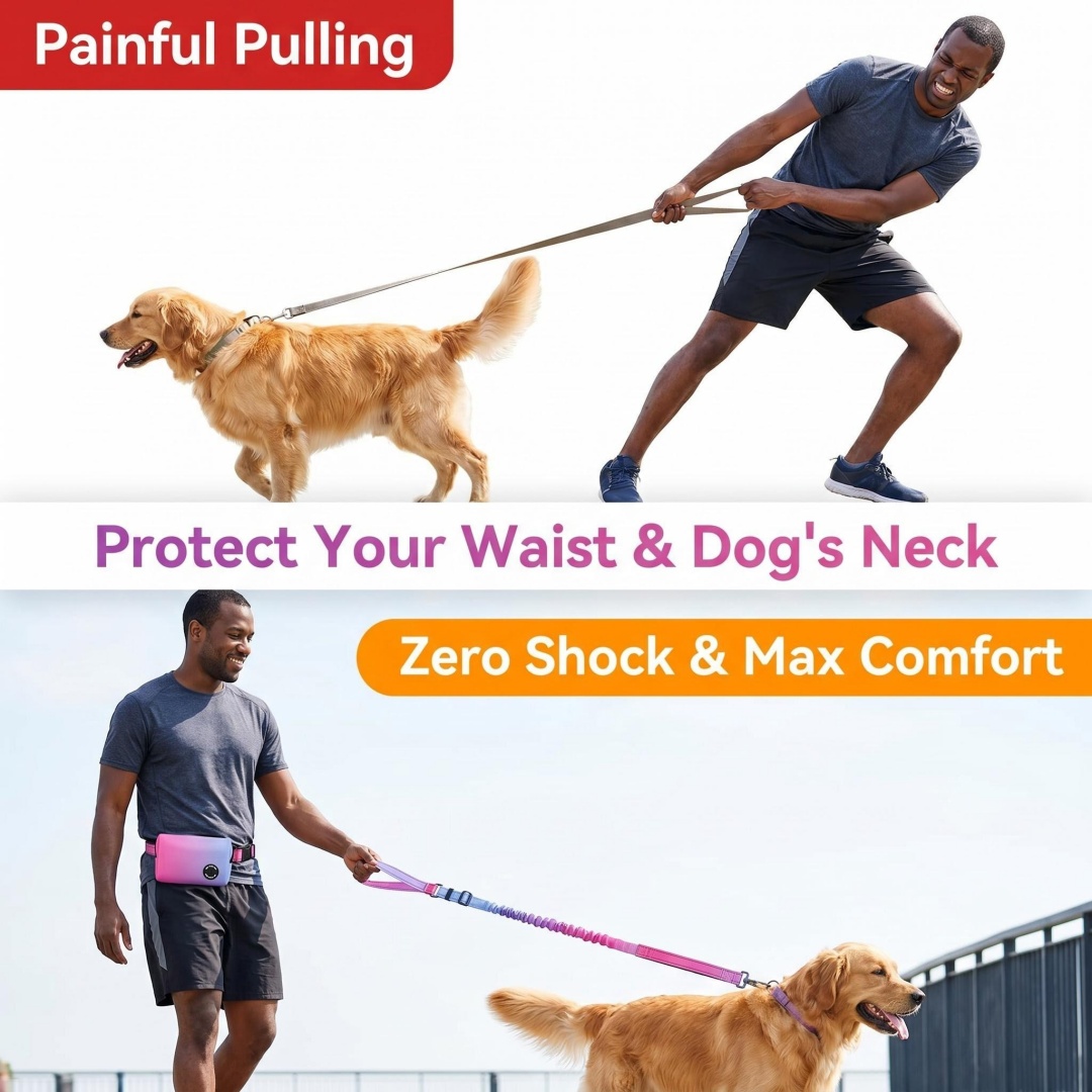 Gradient Color Hands-Free Dog  - đánh giá và giá Bungee Dog Leash Shock Absorbing