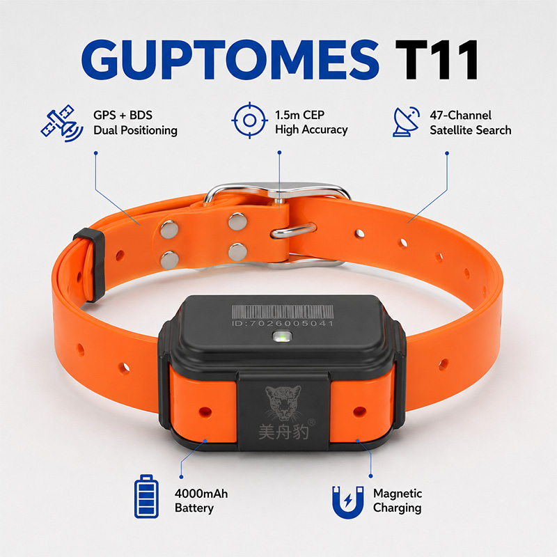 T11 4G GPS Dog Tracker Hunting - đánh giá và giá Dog Gps Tracker Collar 4G Waterproof