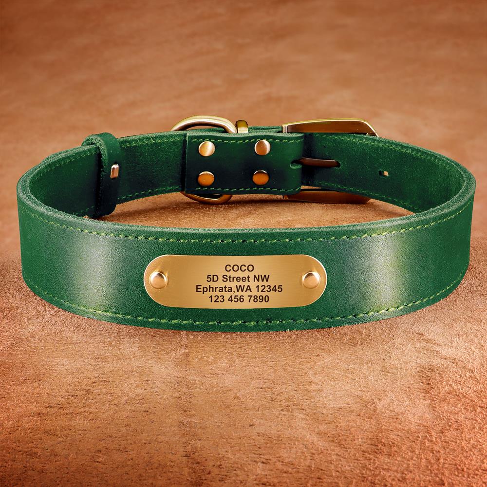 Custom Leather Dog Collar Pitb - đánh giá và giá Reflective Dog Collar Personalized Engraved