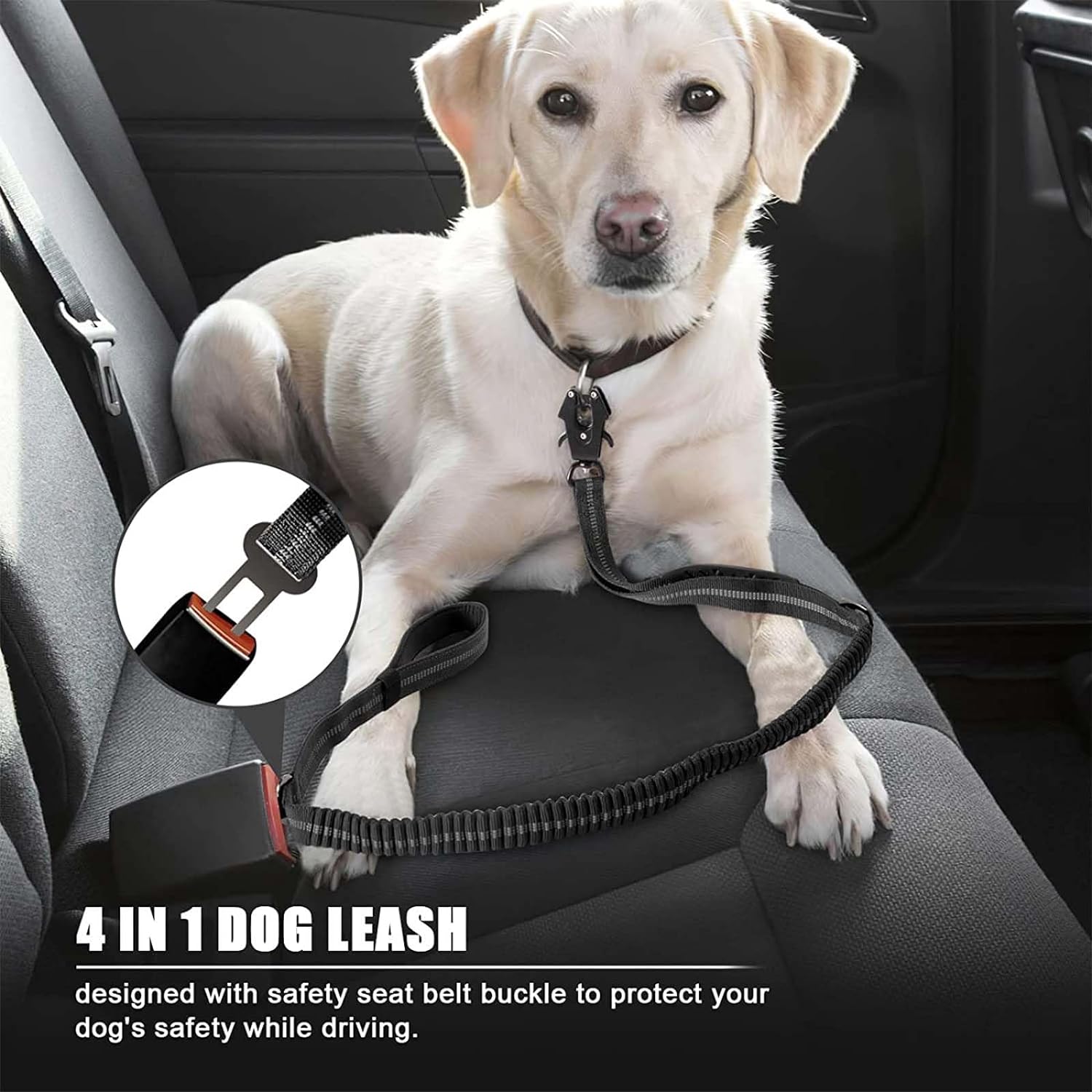 Reflective Shock Absorbing Pet - đánh giá và giá Bungee Dog Leash Shock Absorbing