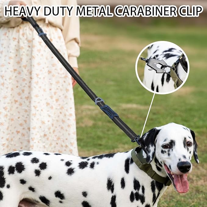 Reflective Shock Absorbing Pet - đánh giá và giá Bungee Dog Leash Shock Absorbing
