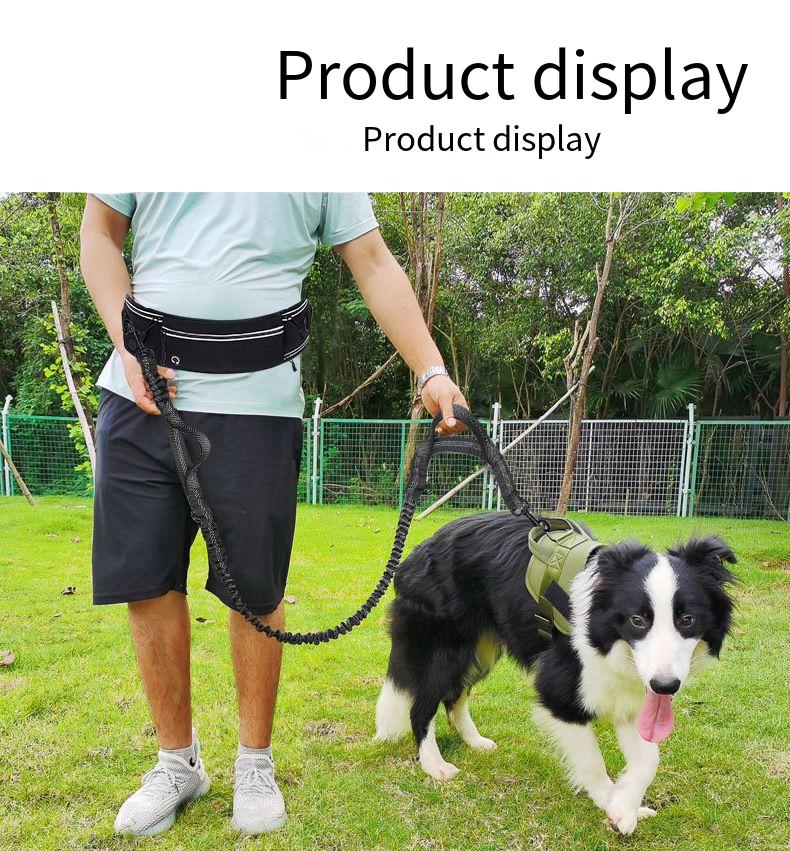 Hands Free Dog Leash for Runni - đánh giá và giá Hands Free Dog Running Leash Waist Belt