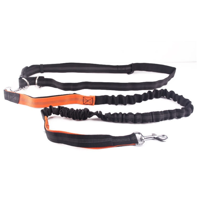 Hand Free Dog Leash for Pet Wa - đánh giá và giá Hands Free Dog Running Leash Waist Belt