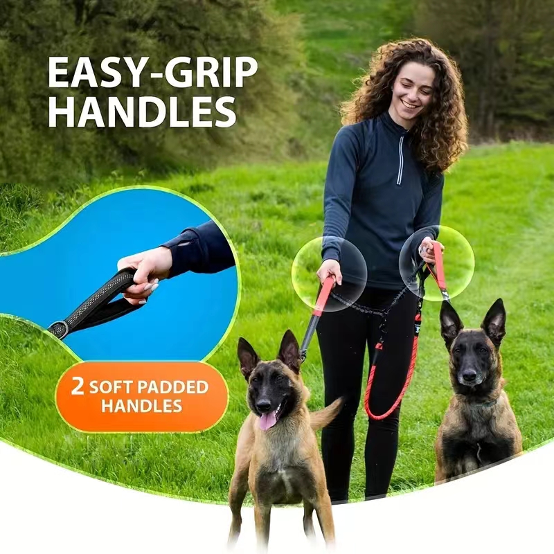 Dual Dog Leash Coupler - Comfo - đánh giá và giá Bungee Dog Leash Shock Absorbing