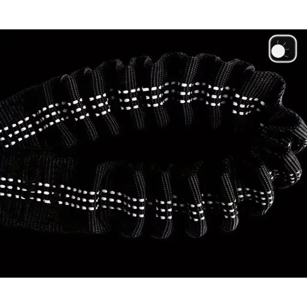 Dual Dog Leash Coupler - Comfo - đánh giá và giá Bungee Dog Leash Shock Absorbing