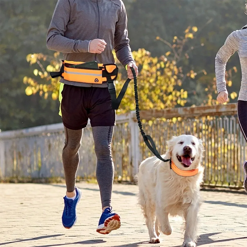Hands Free Dog Leash for Runni - đánh giá và giá Hands Free Dog Running Leash Waist Belt