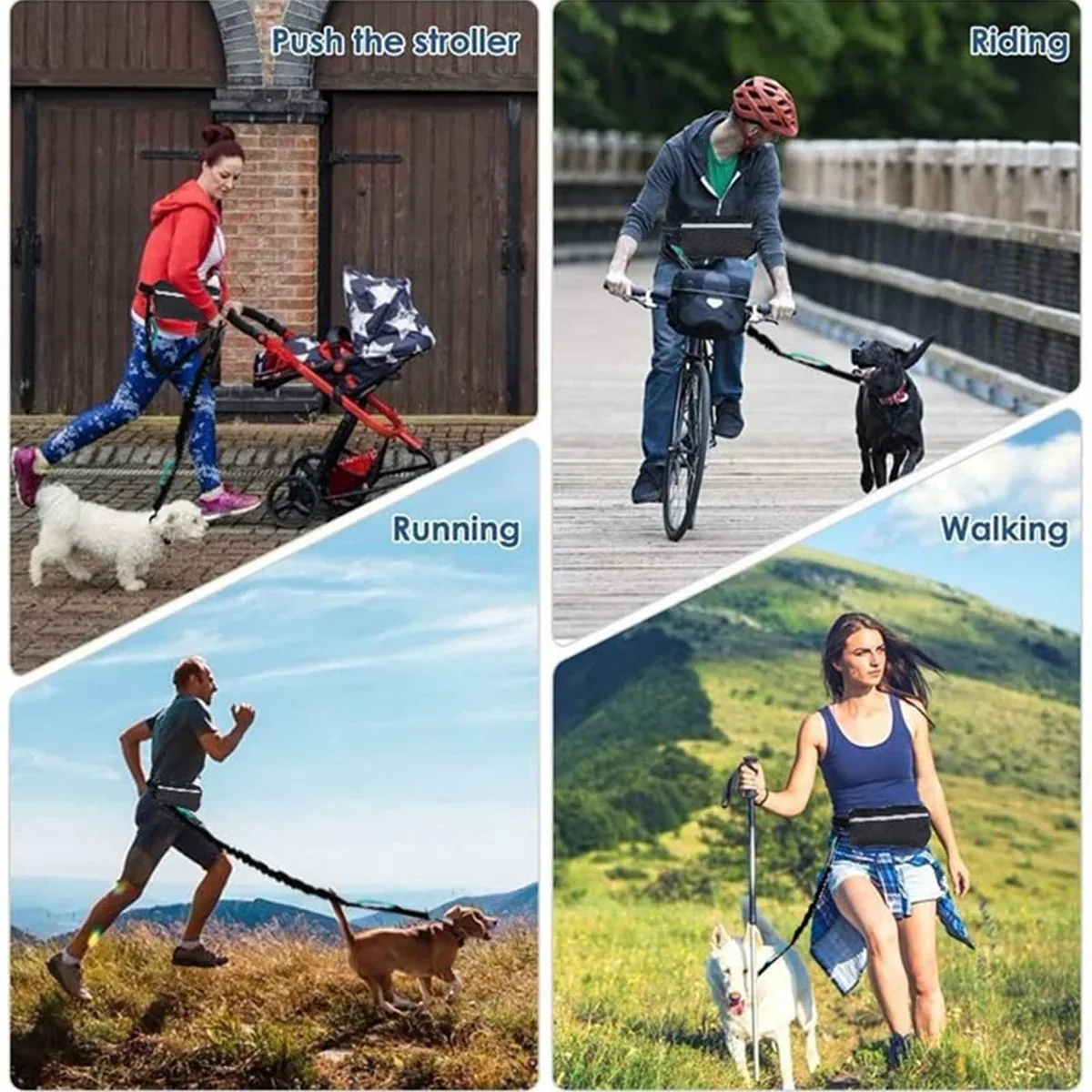 Hands Free Dog Leash for Runni - đánh giá và giá Hands Free Dog Running Leash Waist Belt