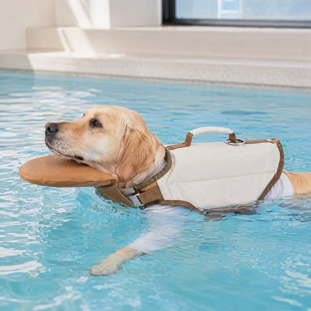 Adjustable Dog Life Jacket Bre - đánh giá và giá Dog Life Jacket Vest Buoyancy Handle