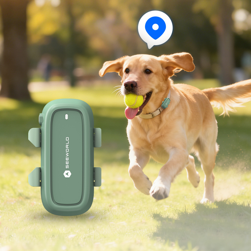 GPS Collar for Dogs - Long Ran - đánh giá và giá Dog Gps Tracker Collar 4G Waterproof