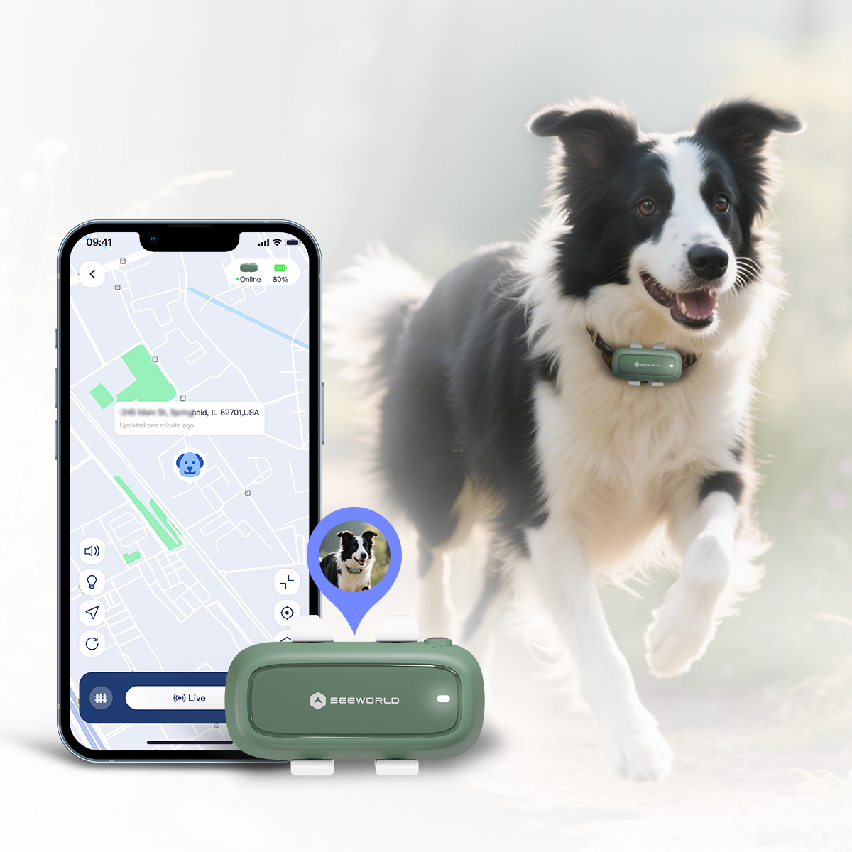 GPS Collar for Dogs - Long Ran - đánh giá và giá Dog Gps Tracker Collar 4G Waterproof